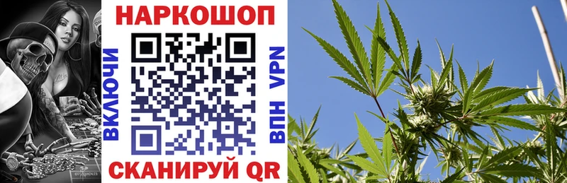 A-PVP Новоржев