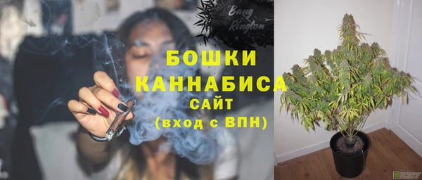 сатива Володарск