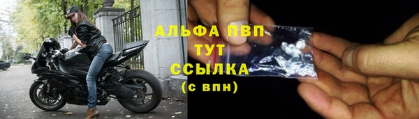сатива Володарск