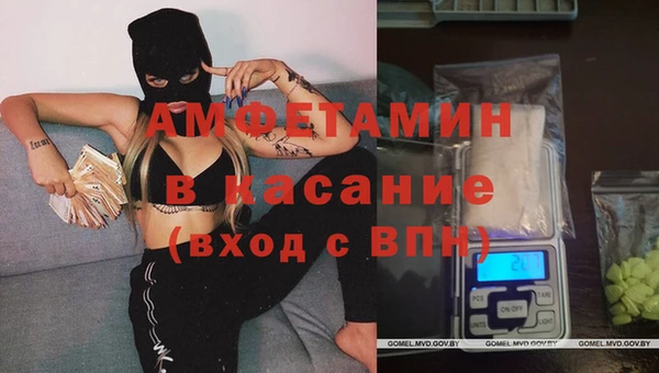 сатива Володарск