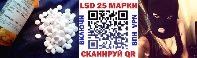 Лсд 25 экстази ecstasy  как найти закладки  Новоржев 